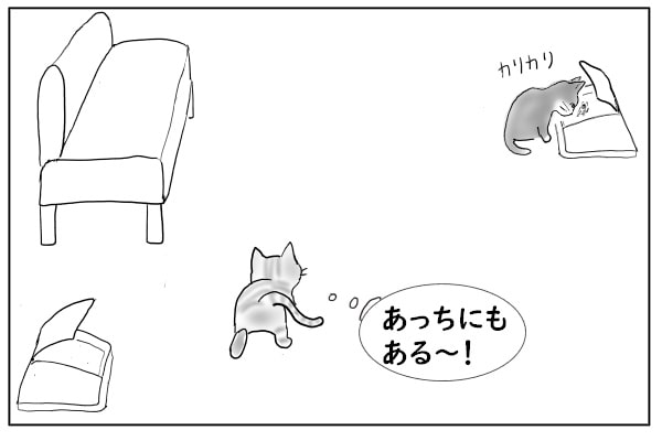 近づく猫