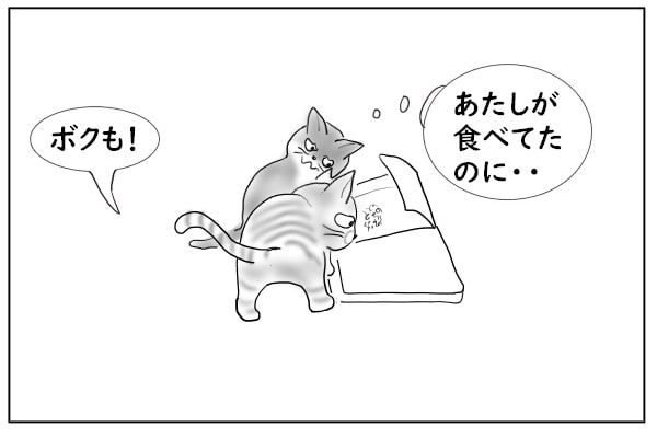 横取りする猫