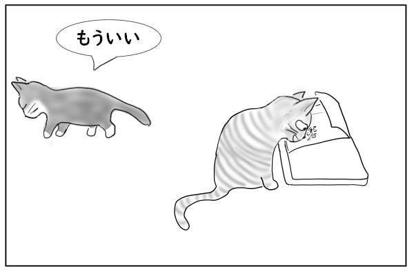 あきらめる猫