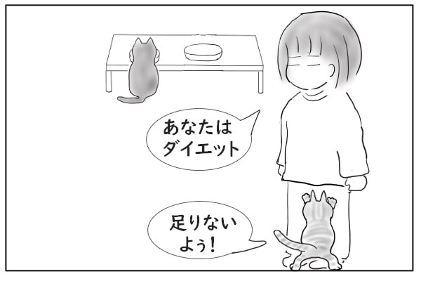 猫のダイエット