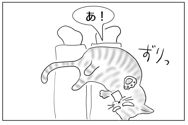 ずり落ちた猫