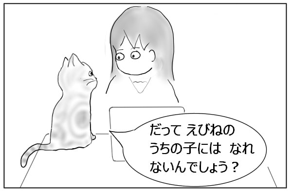 確認する猫