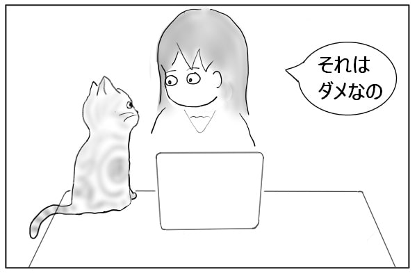 答えるコーディネーター