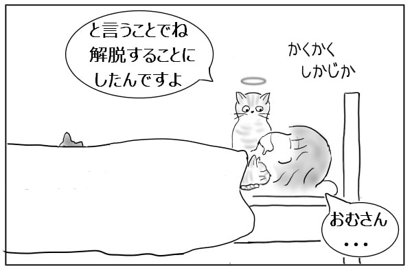 報告する猫