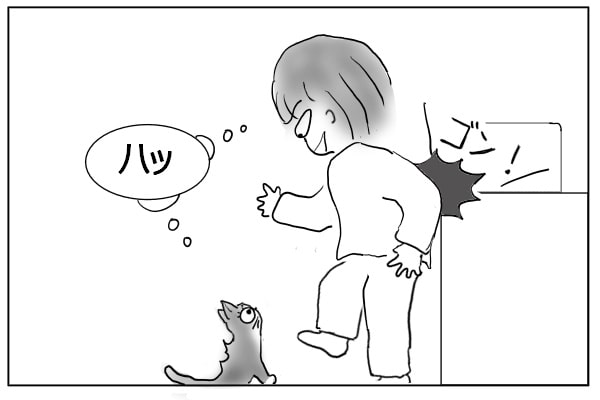 びっくりする人と猫