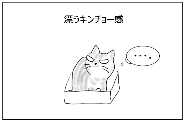 そっと入る猫