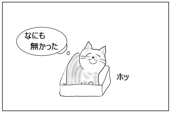 安堵する猫