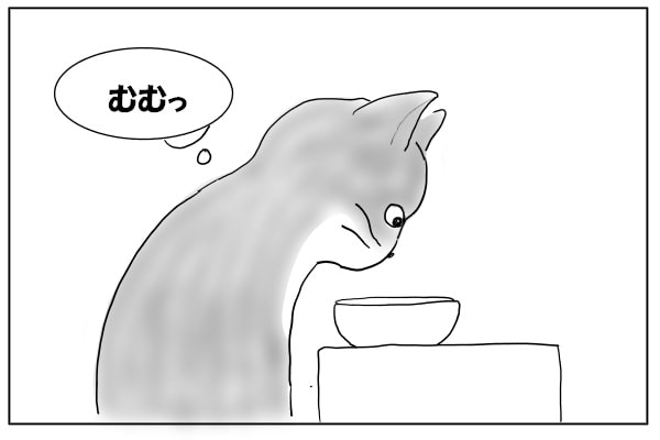 気づいた猫