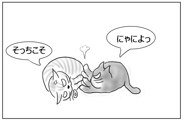 猫のけんか