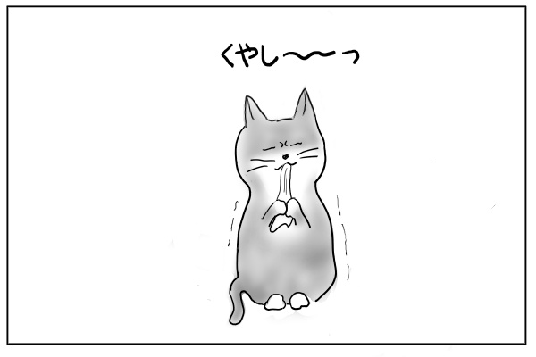 悔しがる猫