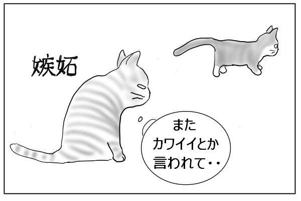 嫉妬する猫