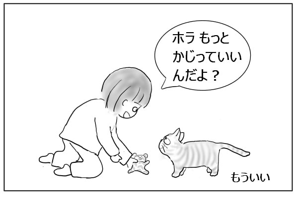 食いつかない猫