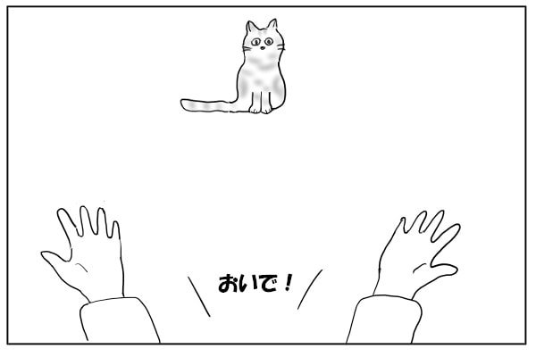 猫を呼ぶ