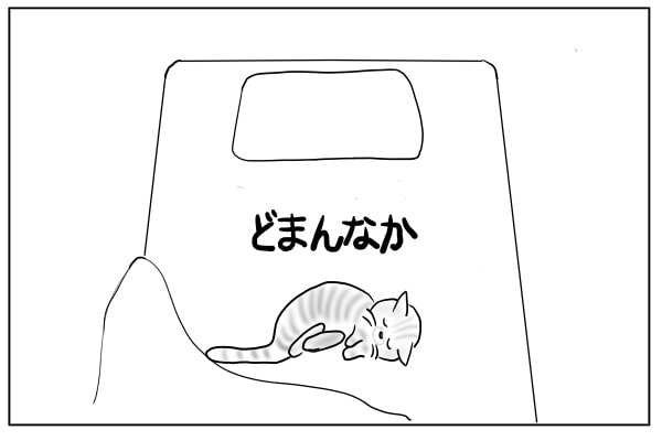 ふとんのど真ん中に猫