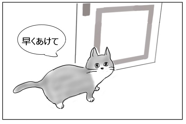 催促する猫