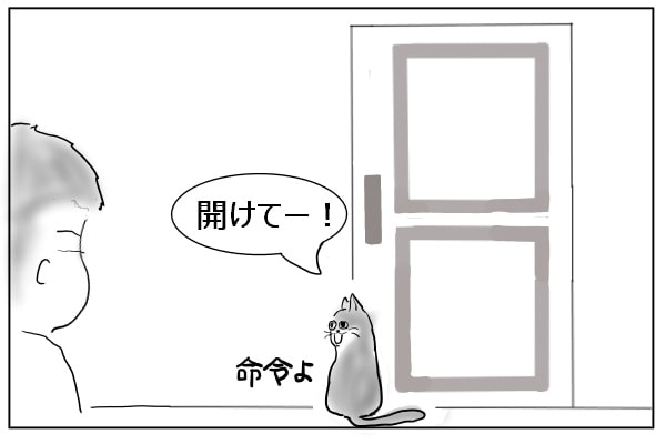 猫に根負けする人