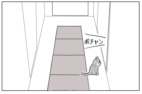 猫の出待ち