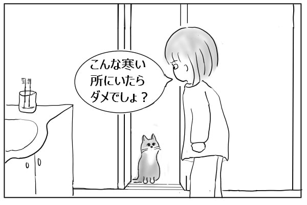 待っていた猫