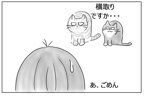 ムッとする猫たち