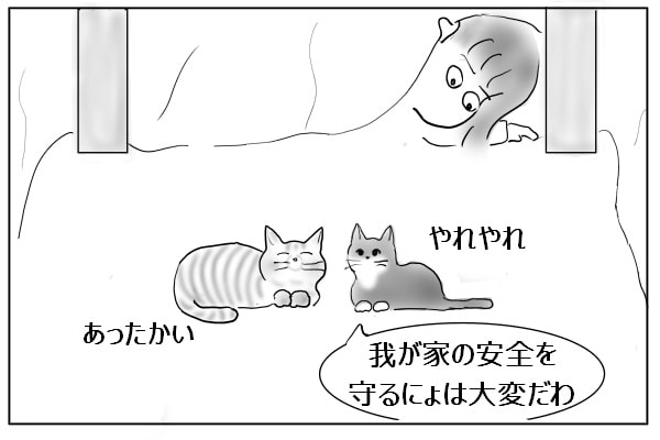 くつろぐ猫