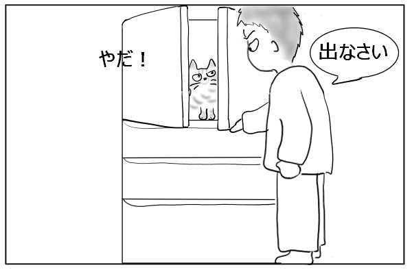 冷蔵庫に入った猫