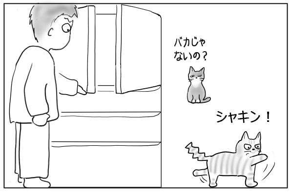 ぎこちない猫