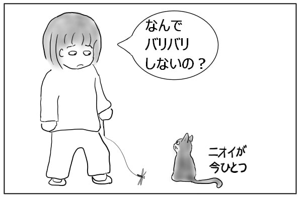 バリバリをやめた猫