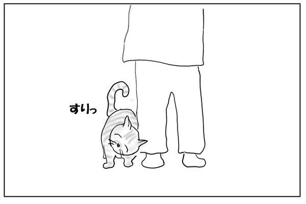 すりっとする猫