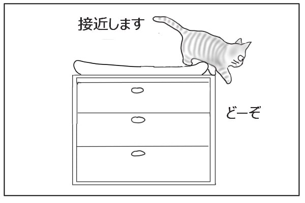 降りる猫