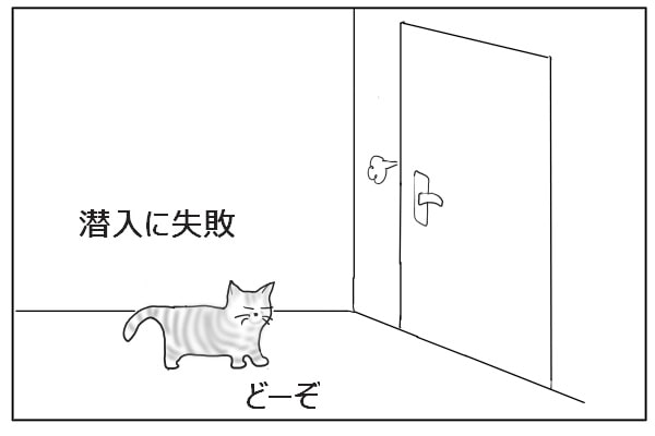 入りそこねた猫