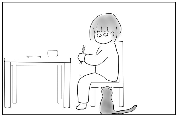 鳴く猫