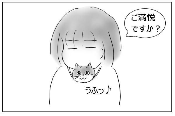 襟から猫