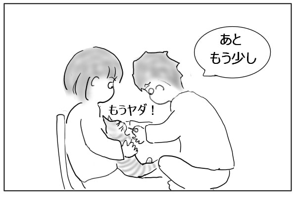 猫の歯磨き