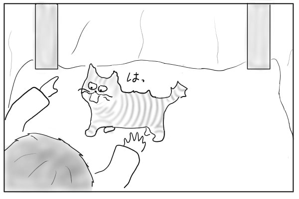猫の手を伸ばす