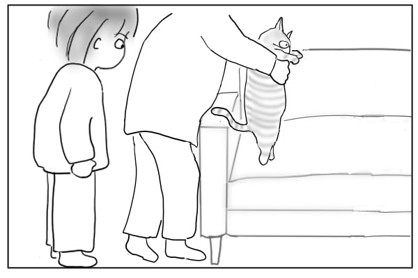 ソファに猫を乗せる