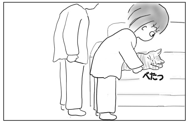 脱力する猫