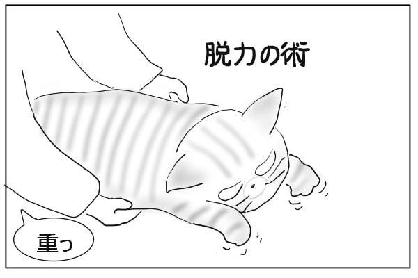 しがみつく猫