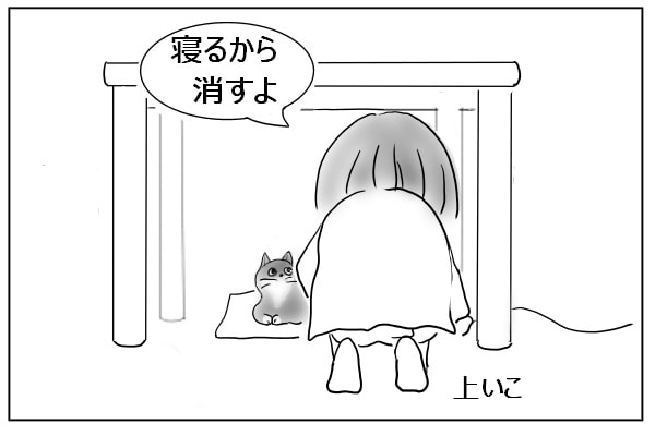 テーブルの下の猫に話しかける