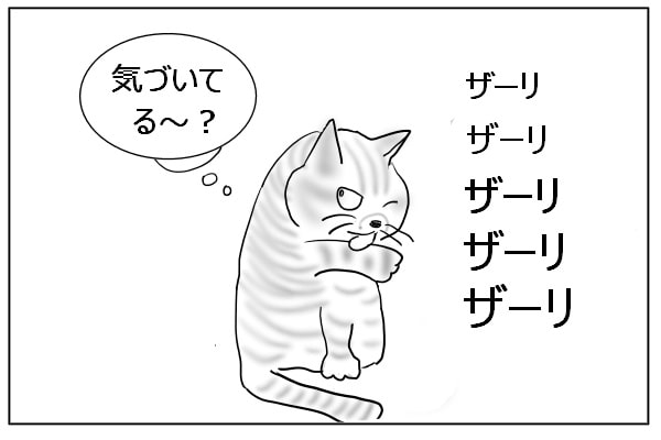 毛づくろいする猫