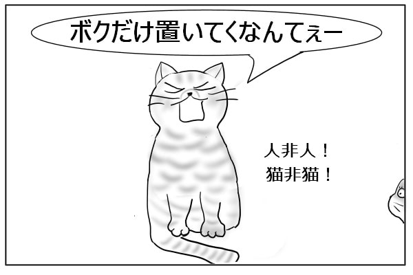 また文句をいう猫