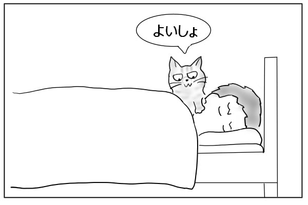 乗り越えようとする猫