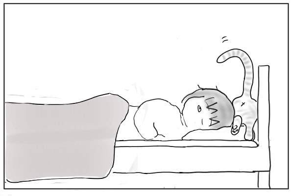 頭の上を通る猫