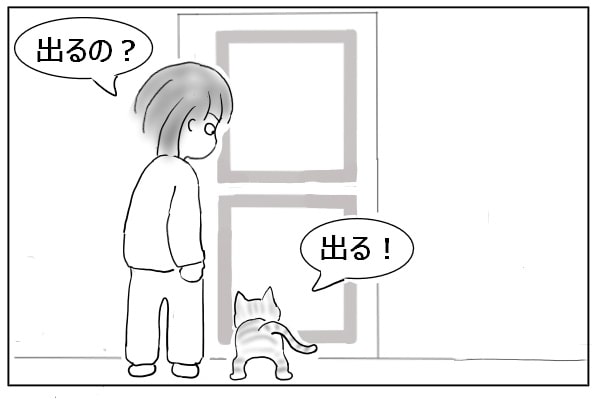 出たい猫