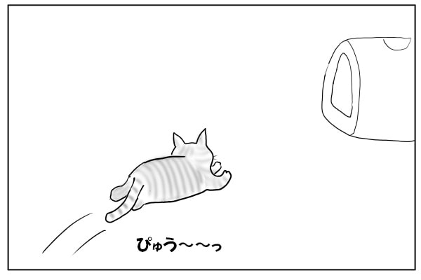 トイレに駆け込む猫