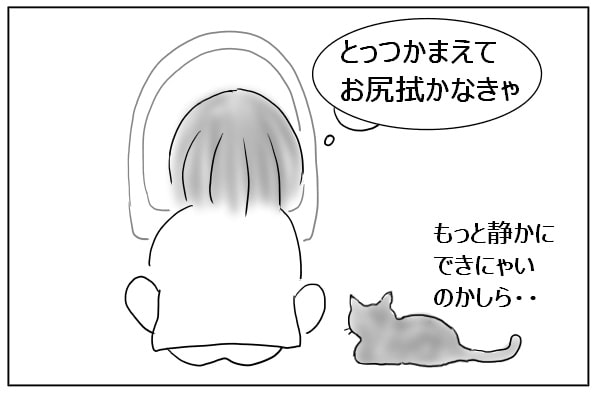 猫トイレの掃除