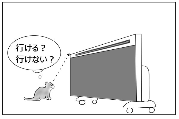 パネルヒーターに乗りたい猫