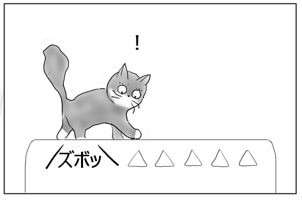 足がはまる猫