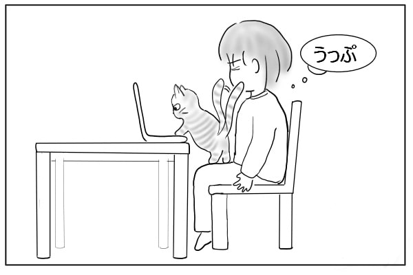 キーボードに乗りたい猫