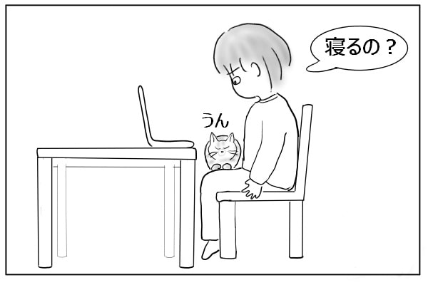 落ち着いた猫
