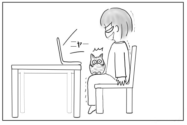 パソコンから猫の鳴き声